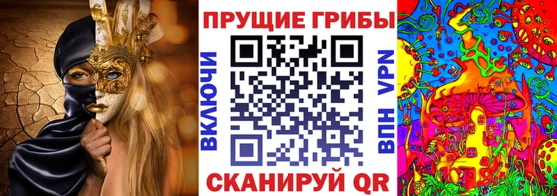 купить наркотик  Назарово  Галлюциногенные грибы GOLDEN TEACHER 